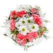 This bouquet is a celebration of Vauxhall's natural charm, expertly styled to capture the uplifting mood of spring along the riverside. At the heart of the circle, brilliant white daisies with vivid green centers shine with simple, joyful beauty. Ruffled coral-pink carnations spread around them, their soft petals creating a lively, textured cushion reminiscent of the colorful blooms found at the weekly New Covent Garden Market nearby. Intertwined through the blossoms, fine gypsophila sparkles like miniature stars in the morning sun, enhancing the bouquet's soft fullness and grace. Subtle rose and purple hints from young alstroemeria buds offer promise for tomorrow, while a tapestry of silvery eucalyptus and rich green foliage frames the arrangement, infusing it with natural fragrance and a serene matte finish. Designed to convey feelings of hope and joyful renewal, this floral composition would brighten any table in a Vauxhall townhouse or riverside flat, making it just right for birthdays, thank-yous, or simply sharing a note of happiness. Each flower and leaf has been selected by a local florist who knows the community-and prepared to bring a sense of celebration, connection, and gentle beauty to every single delivery.